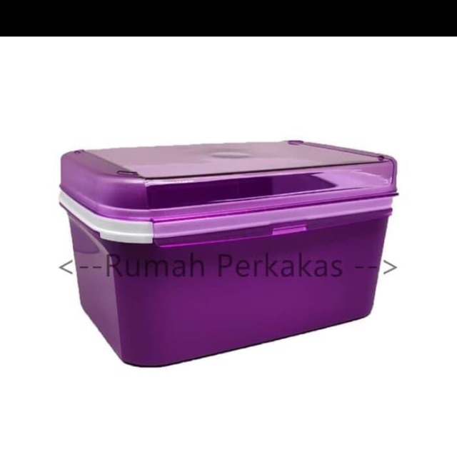 Tupperware/Signature Rectangular #1