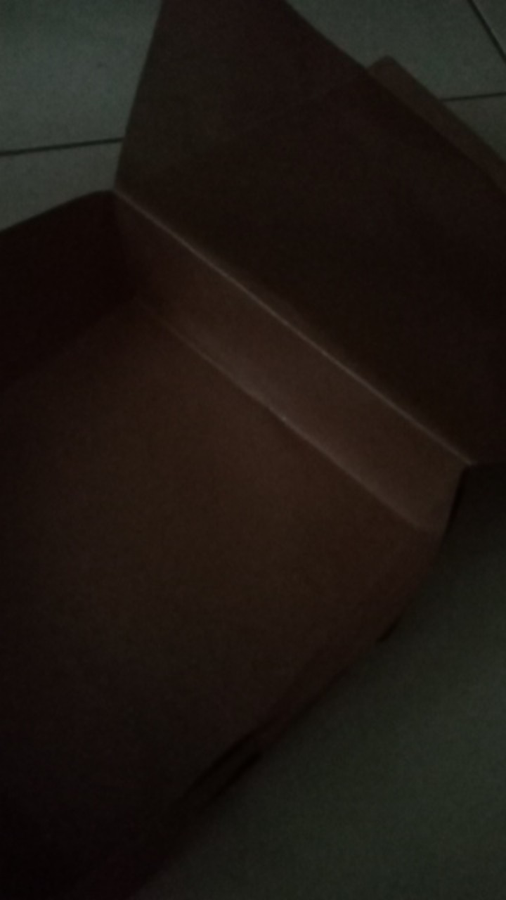 Dnl Dus Cake Box Kemasan Nasi Katering Kotak Catering Tutup Sambung Eco Pack Foodgrade 20x20 Cm