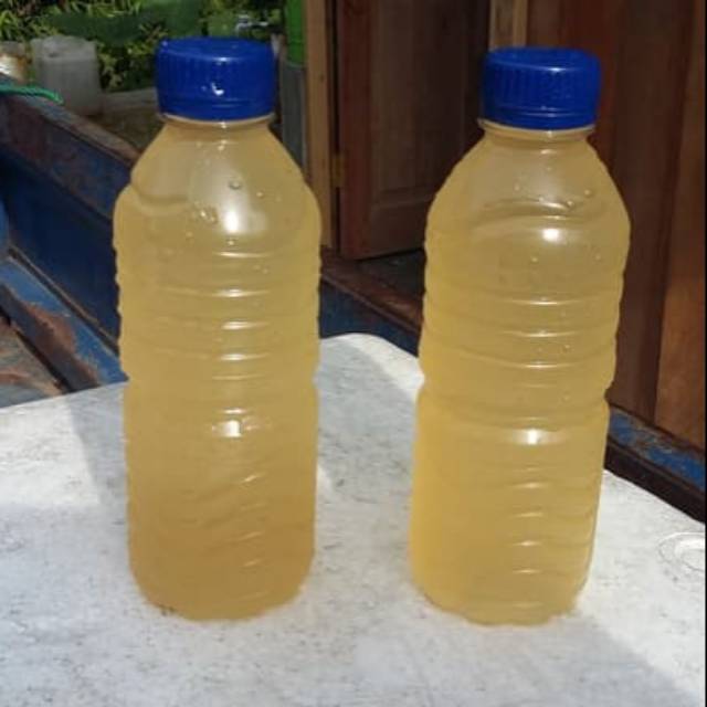 

air nira murni air pohon aren enau 400 grm