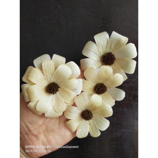 KLOBOT MATAHARI/BUNGA MATAHARI DSRI KULIT JAGUNG