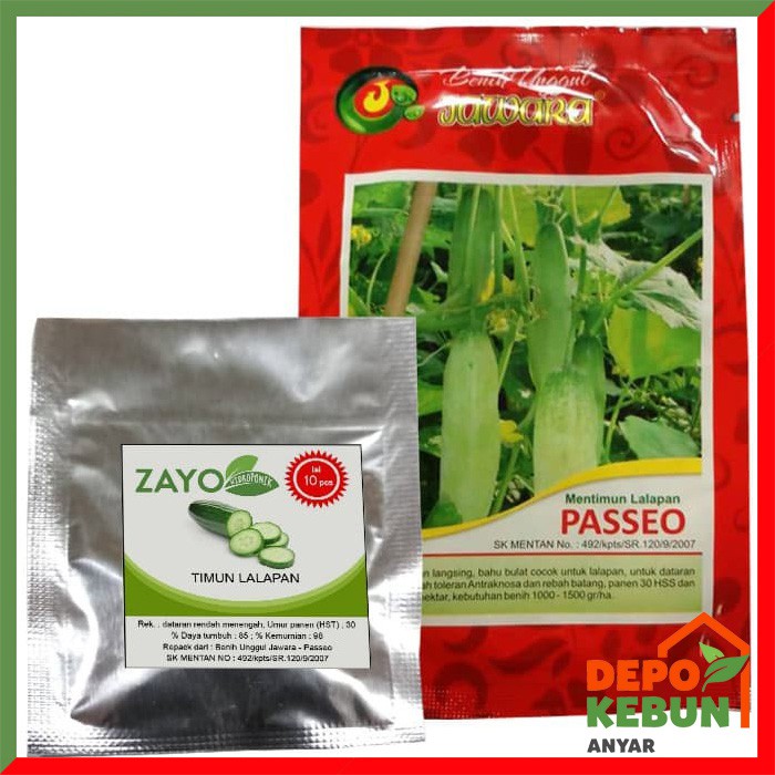 BENIH TIMUN/ BIBIT TIMUN