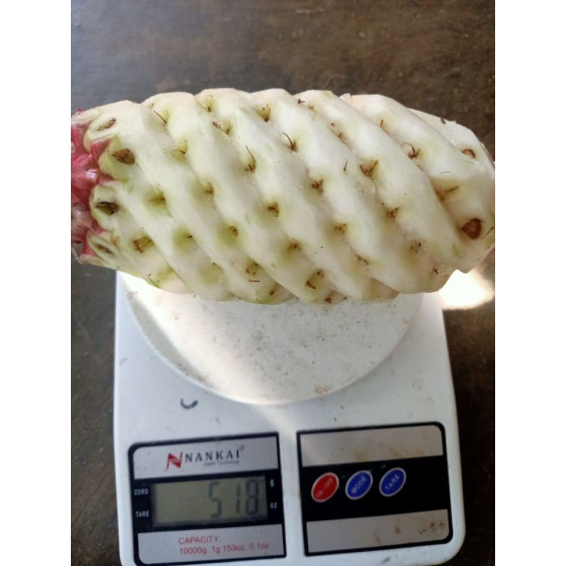 

nanas merah kupas 500 grm