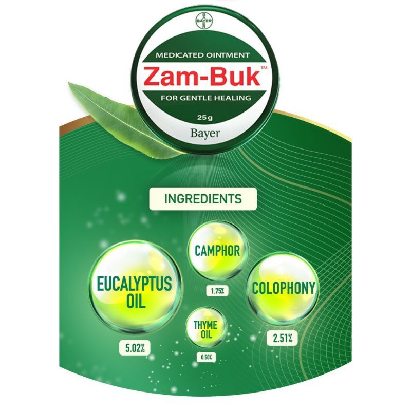 Zambuk 25gr Obat Memar 25 gr Salep Zam Buk 25g Bayer ORIGINAL