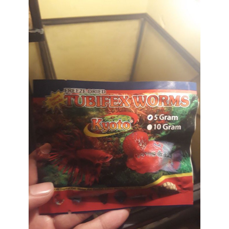 cacing kering tubifex worm