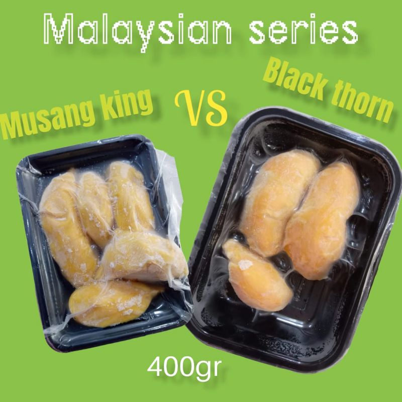 

Paket MK Frozen dan BT Frozen