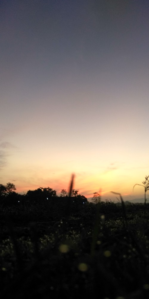 Apta Batik _ Couple Batik Pinguin Selendang Payet Anjella Hauw