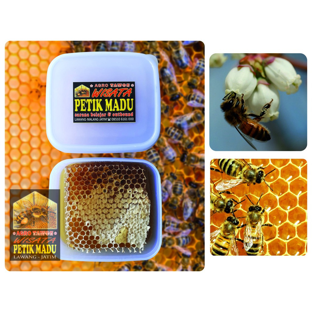 

Madu Sarang Honey Comb Fresh Honey 250 gram