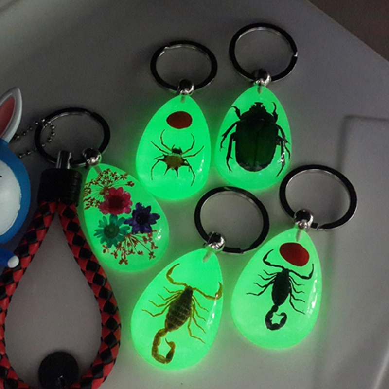 Siy Luminous Amber Insect Keychain Black Scorpion Resin Untuk Gantungan Kunci Glow in the Dark Liontin Dengan Sample Serangga Di Dalam