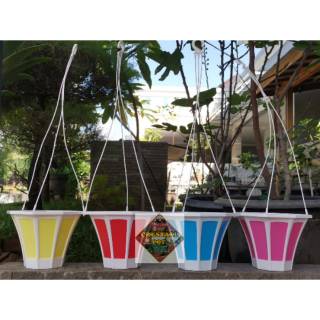 Pot bunga gantung lampion warna warni 20cm tatakan Pot bunga gantung lampion warna warni 20cm tatakan
