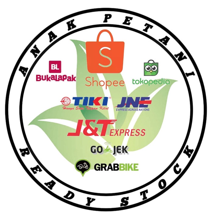 BIBIT POHON ANGGUR MERAH/TANAMAN BUAH ANGGUR MERAH RED PRINCE