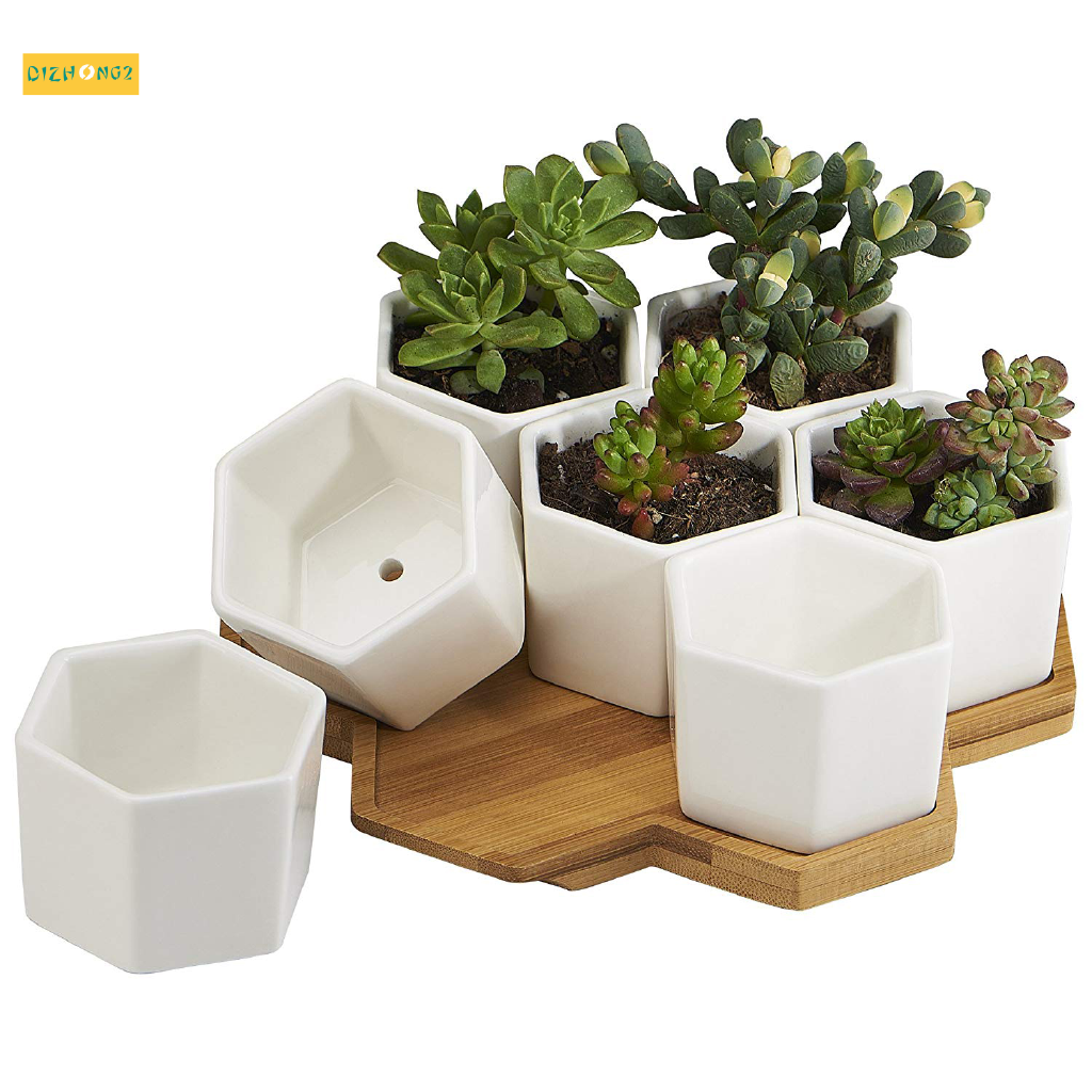 Planter Pots Indoor 7 Pack 2 75 Inch Modern White Ceramic Small Hex Succulent Cactus Flower Plant Pot With Bamboo Tray For Indoors Outdoor Office Home Garden Kitchen Decor Shopee Indonesia