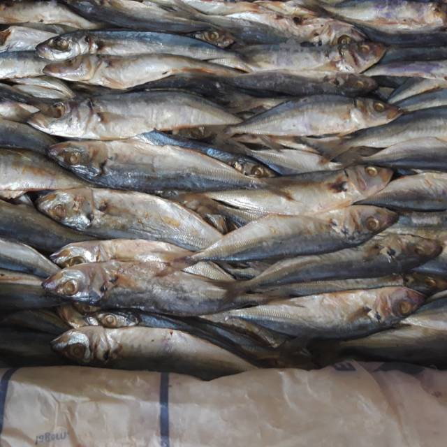 

ikan asin japu 250 g / ikan asin japu 250 gram