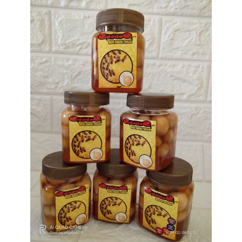 

Fermentasi Madu Bawang Lanang