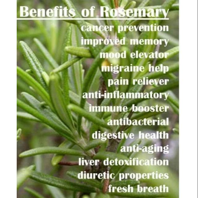 Rosemary essential oil 5ml