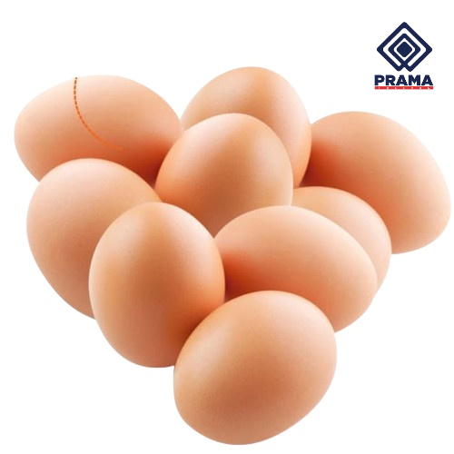 

TELUR AYAM NEGERI CURAH 1KG