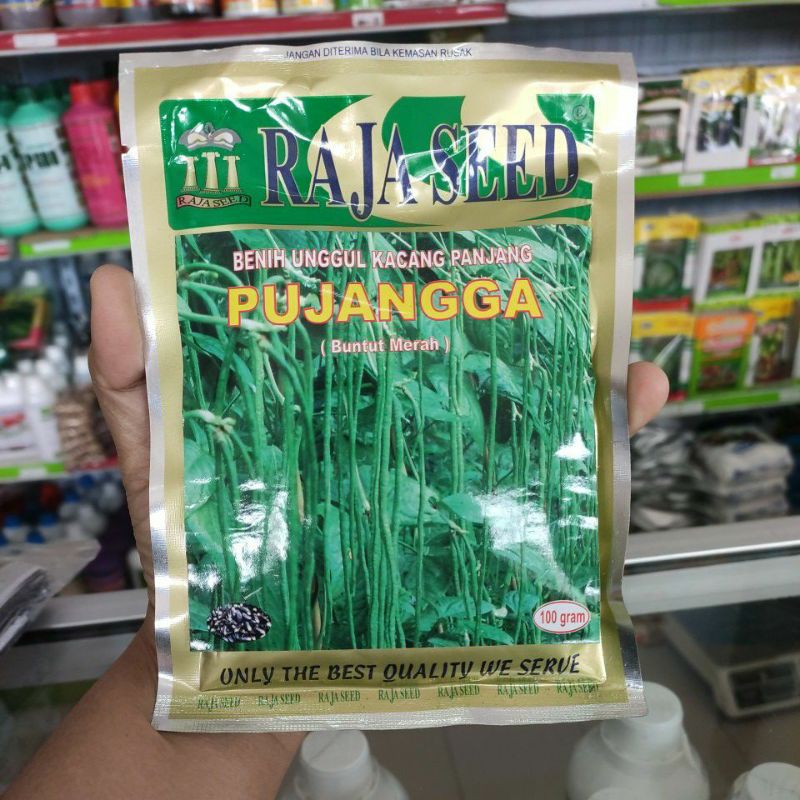 kacang panjang pujangga raja seed 100gr