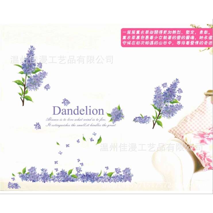 Dinding Stiker Transparan / Wall Sticker / (60x90cm) B17 TKM