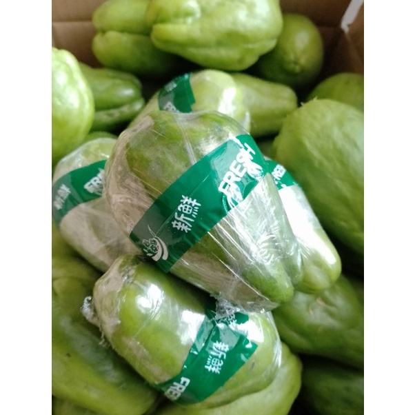 

sayuran labu siam baby