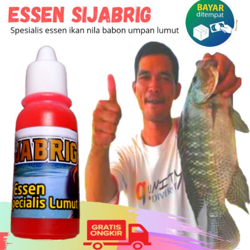 Essen ikan nila paling jitu umpan lumut esen nila liar esen nila media lumut paling ampuh sijabrig