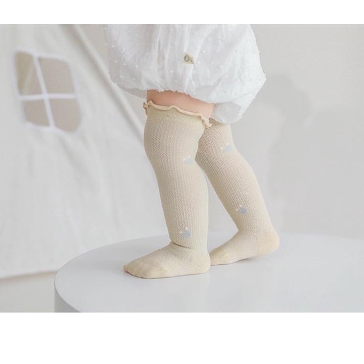 Baru Terkini kaos kaki anak bayi sora socks