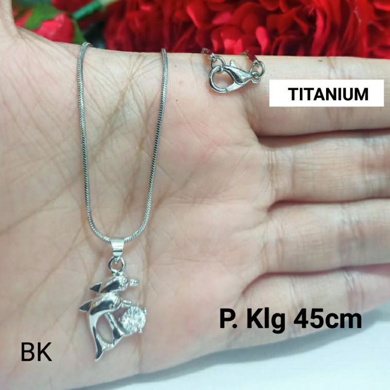 Kalung plus Liontin Titanium motif Lumba-lumba Permata Perhiasan Wanita Silver