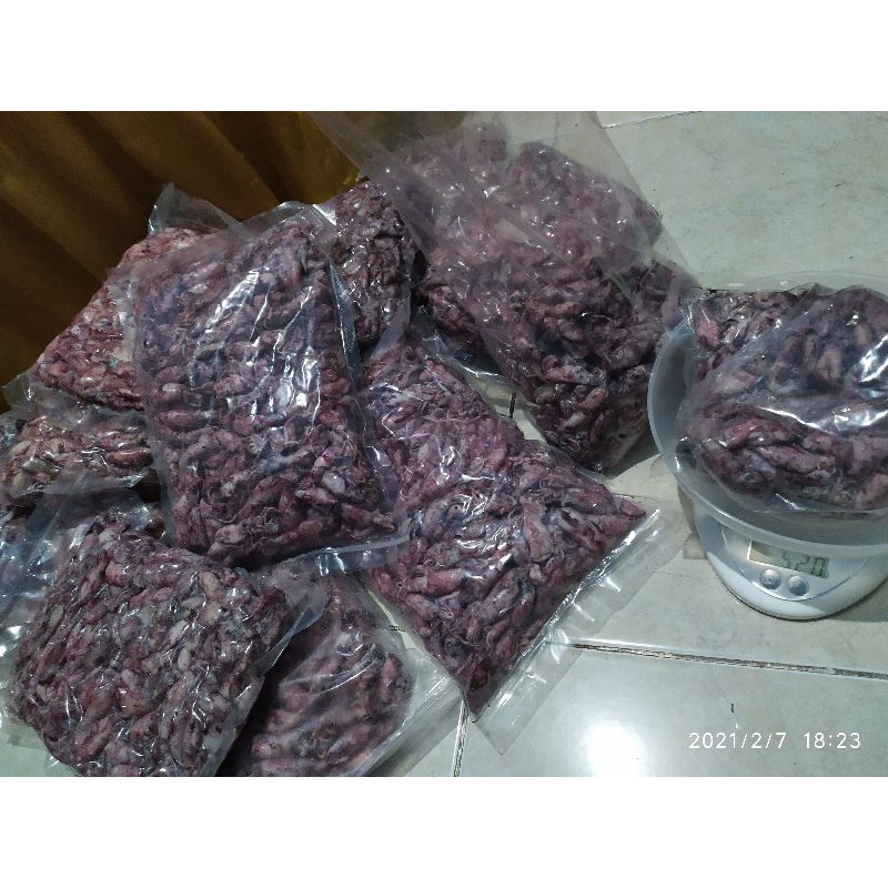 

cumi baby kering UK 1-3 cm