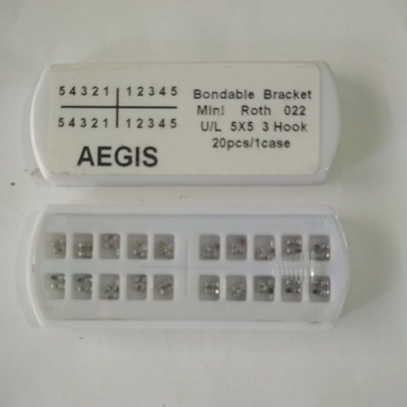 Aegis Bracket mini Roth 002