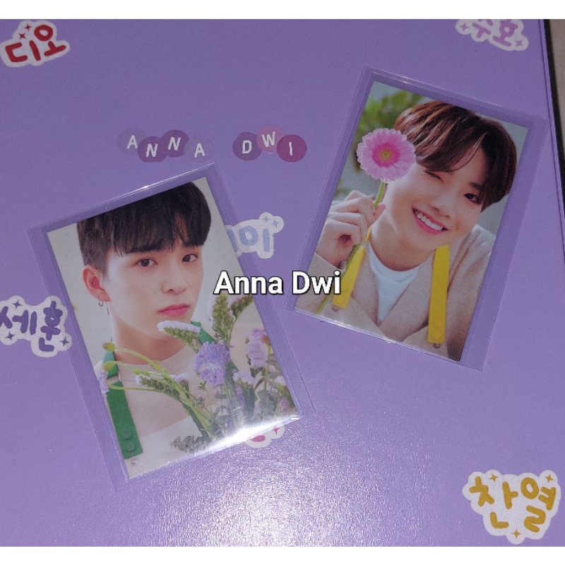 Photocard binder blooming Asahi (BOOKED)
