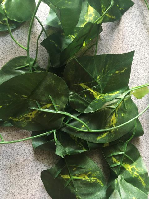 Termurah!!! Daun Rambat Plastik/ Daun Rambat Palsu / Daun Rambat Sintetis /aquaria Qr0941