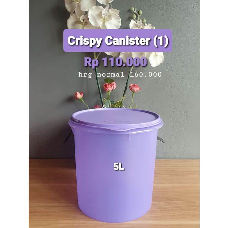 PROMO HEMAT TUPPERWARE Toples Tupperware 110K