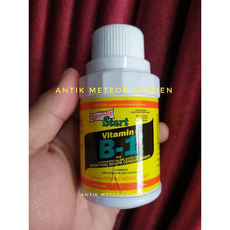 vitamin b1 liquinox pupuk cair aglonema tanaman buah sayur cabe palembang