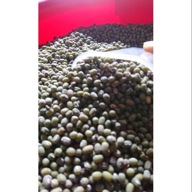 

Kacang Hijau Kampung 1kg