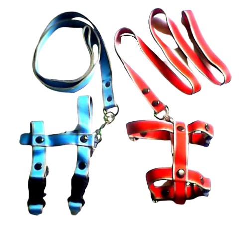 DOG HARNESS / Harnes anjing + Tali tuntun 2.5 POLOS