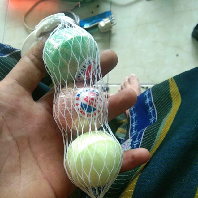 Kamper Toilet Barus Pengharum Ruangan