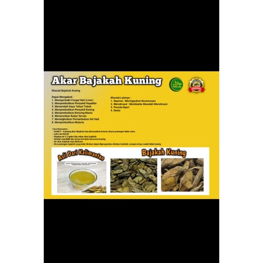 bajakah kuning original kalimantan100%