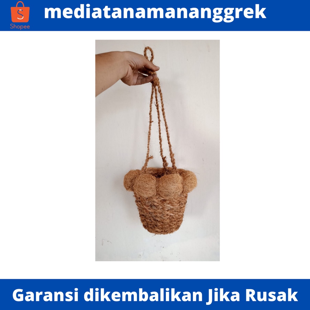 Pot anggrek gantung / pot anggrek bulan / pot dari sabut kelapa / pot anggrek orchid