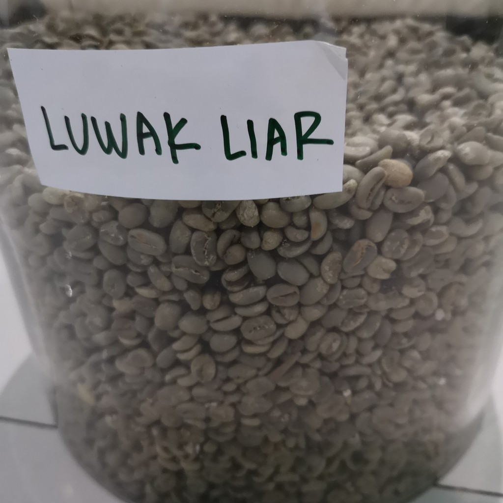 

Green Bean Kopi Arabika Gayo Luwak Liar 1 Kg
