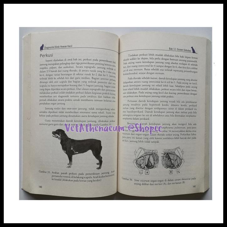 

TERBARUU!! Buku Diagnosa Klinik Hewan Kecil TERLARIS