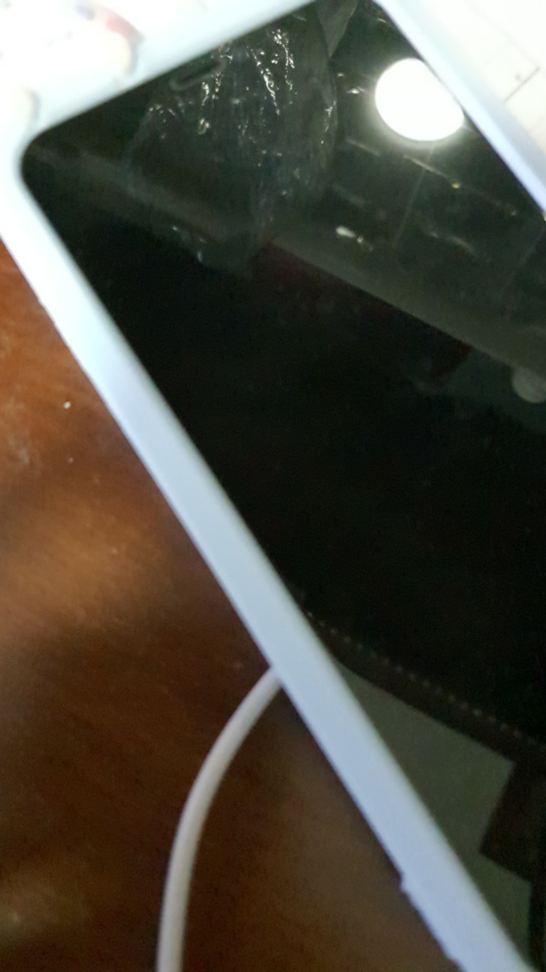 Silicone Basting Brush High Heat Reistant Pastry Brush Translucent Reusable Barbecue Utensil