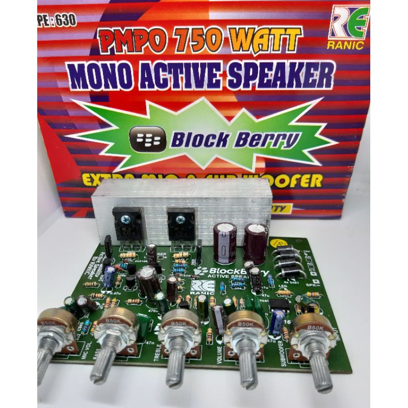 MONO AKTIVE SPEAKER RANIC TYPE 630