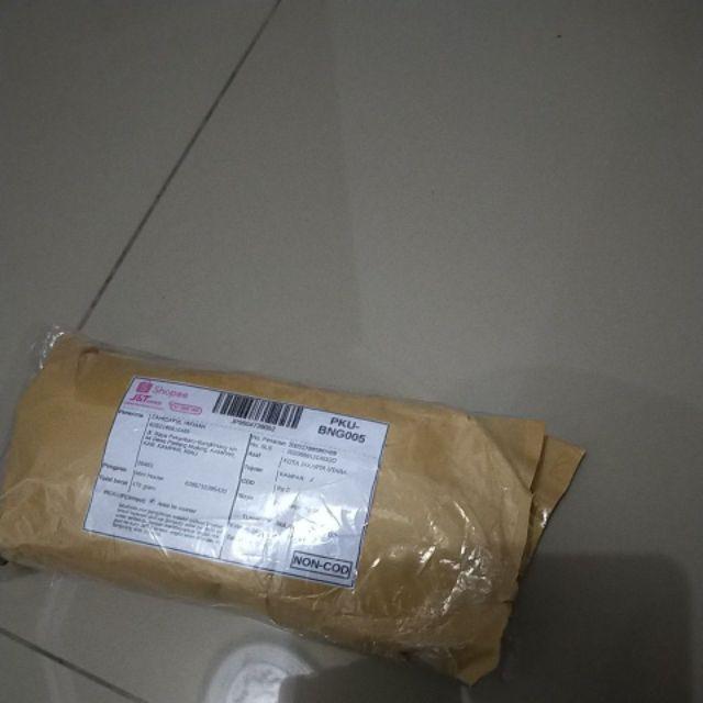 Biji Benih Bibit Kaktus Besar