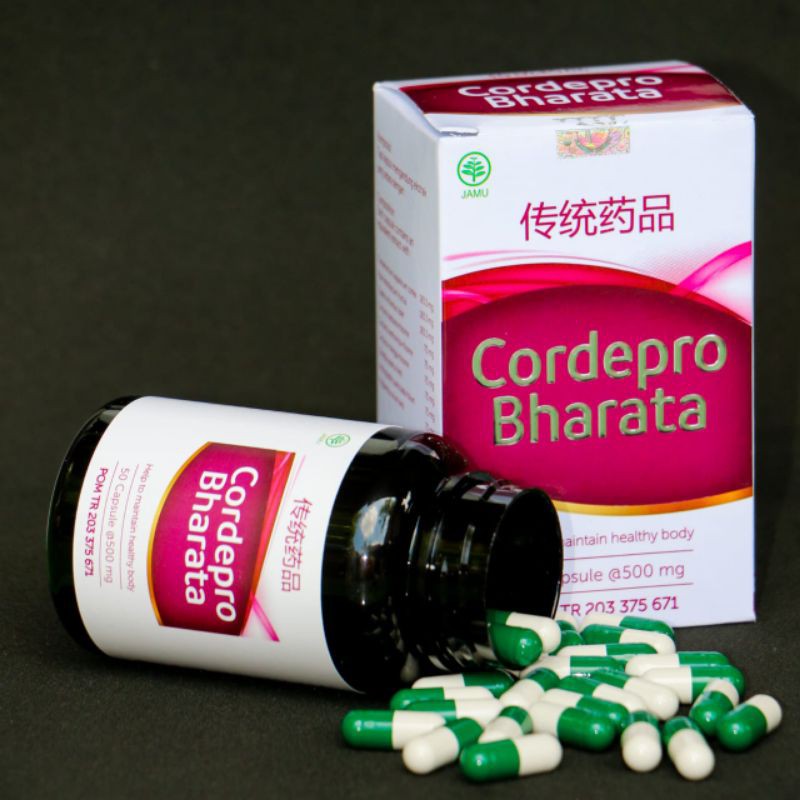 cordepro bharata Obat Paru paru, Ginjal, jantung Ampuh