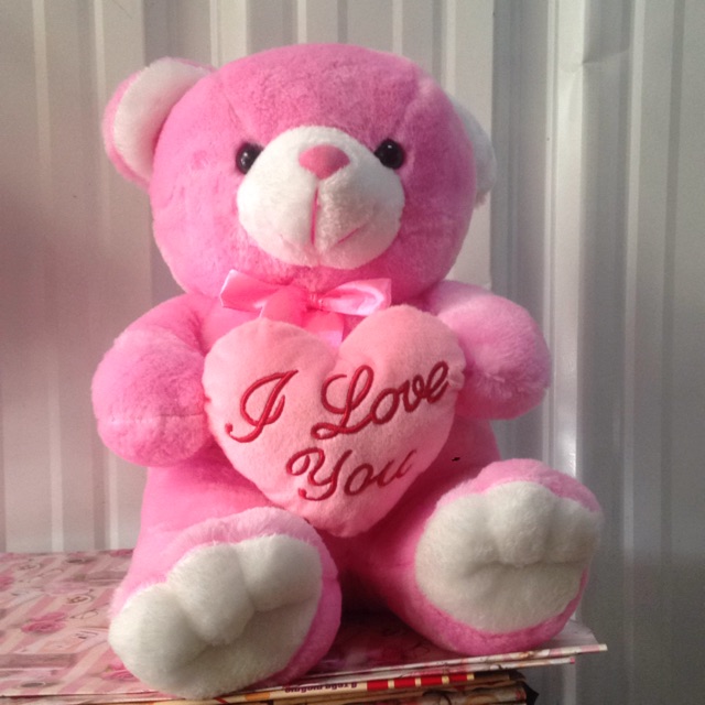 i love teddy