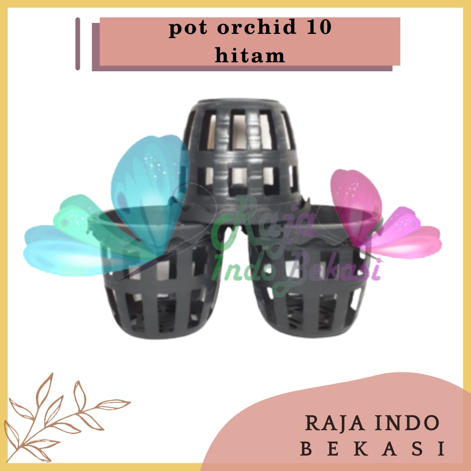 Pot Anggrek Orchid 10cm Hitam Pot Anggrek Plastik 10 Cm Murah / Pot Anggrek Tempel Sabut Kelapa Kayu