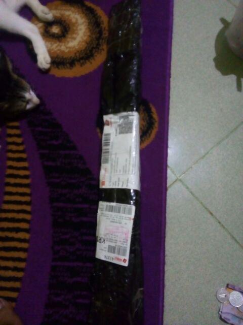 Payung Studio 33 Inch