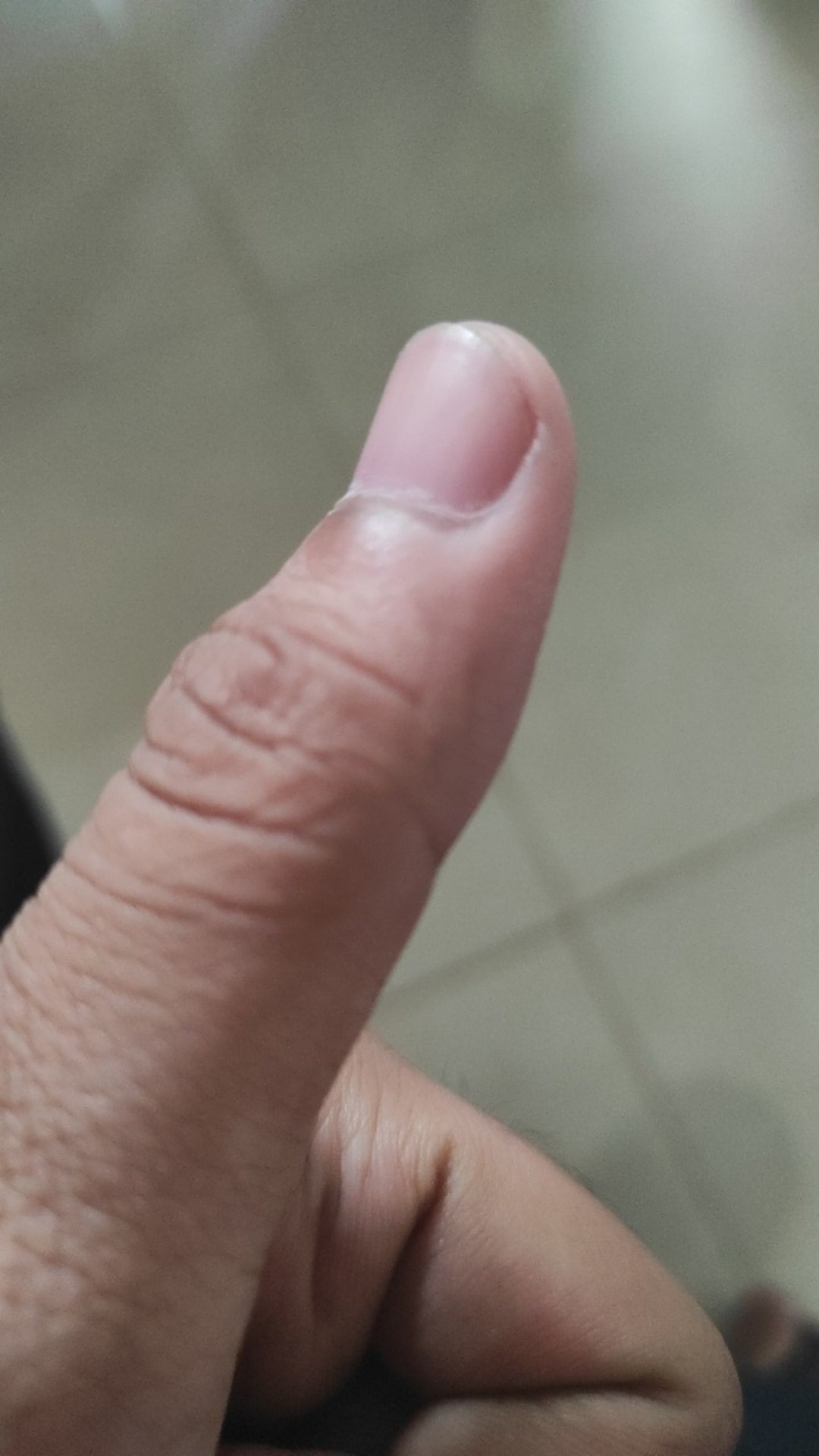 Kemeja Batik Pria Cendrawasih Full Furing