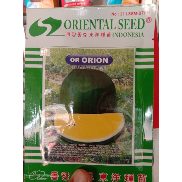 -+500 BENIH SEMANGKA KUNING OR ORION F1 HYBRID WATER MELON