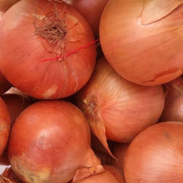 

BAWANG BOMBAY (900-1000gr)