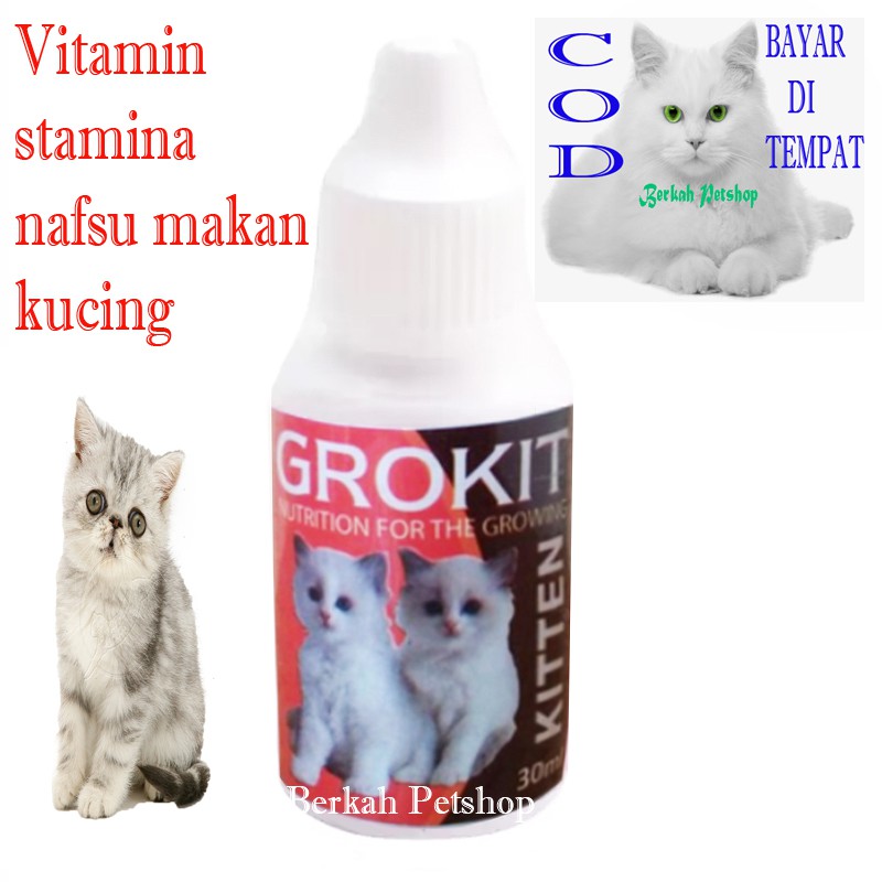 obat kucing penggemuk badan vitamin kucing penambah nafsu makan kitten