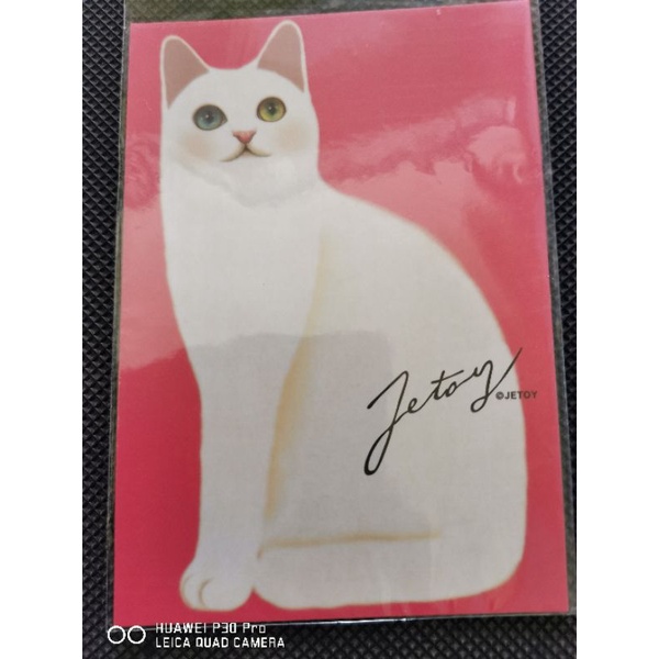 

kartu pos kucing jetoy/jetoy cat postcard